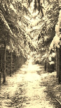 Szary + Sepia