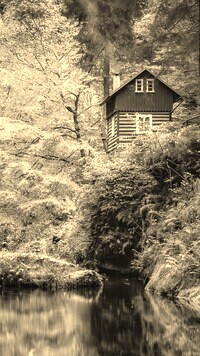 Sepia