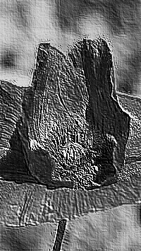 Skamielina