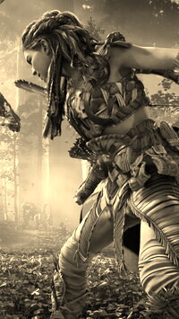 Szary + Sepia