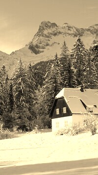 Szary + Sepia