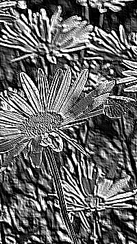 Skamielina