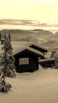 Sepia