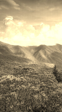Sepia