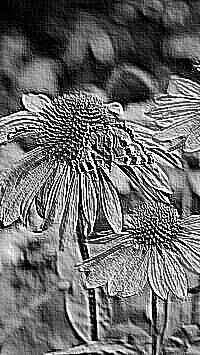 Skamielina