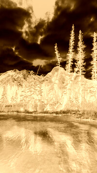 Sepia + Negatyw