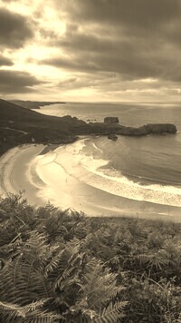 Szary + Sepia