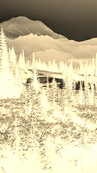 Sepia + Negatyw
