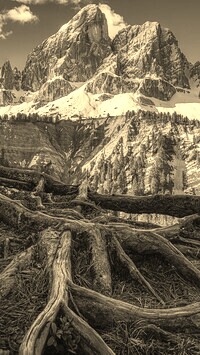 Szary + Sepia