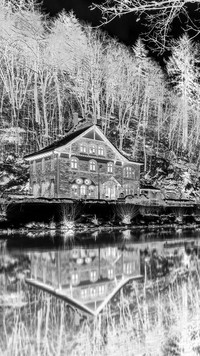 Szary + Negatyw