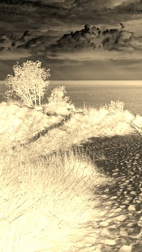 Sepia + Negatyw