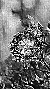 Skamielina