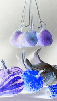 Negatyw