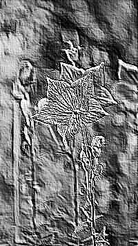 Skamielina