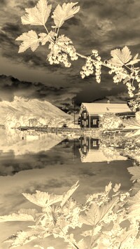 Sepia + Negatyw
