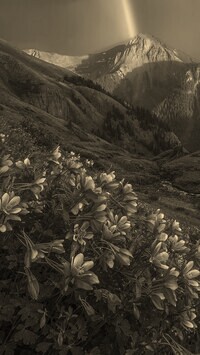 Szary + Sepia