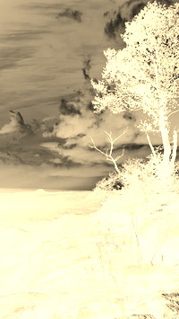 Sepia + Negatyw