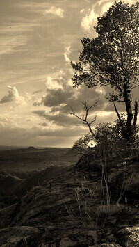 Sepia