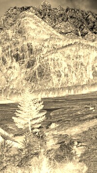 Sepia + Negatyw