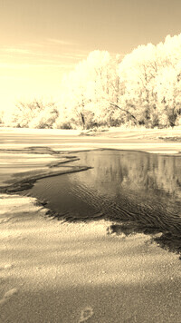 Sepia