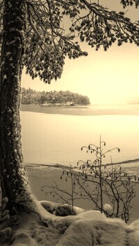 Sepia