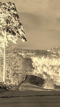 Sepia + Negatyw