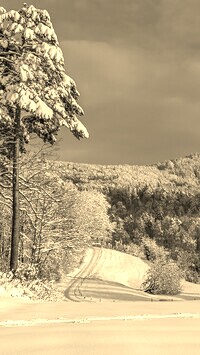 Sepia
