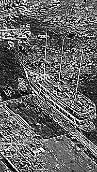 Skamielina