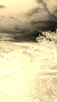 Sepia + Negatyw