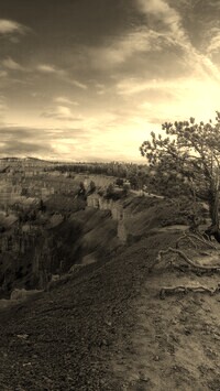 Sepia