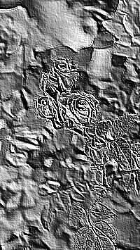 Skamielina