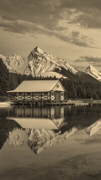 Szary + Sepia