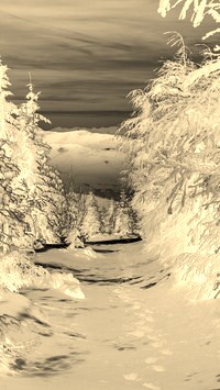 Sepia + Negatyw
