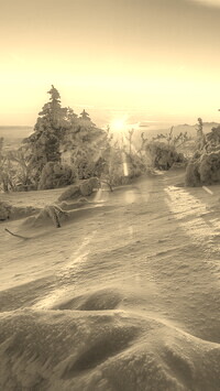 Sepia