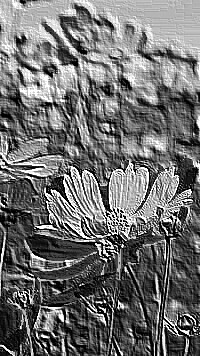 Skamielina