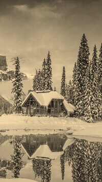Szary + Sepia