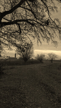 Szary + Sepia