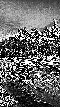 Skamielina