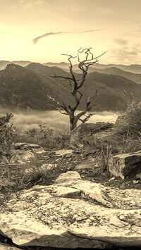 Sepia