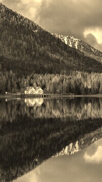 Szary + Sepia