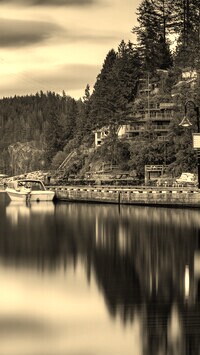 Szary + Sepia