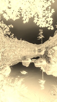 Sepia + Negatyw