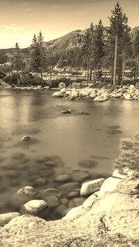 Sepia