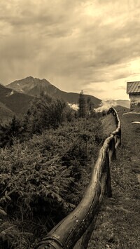 Sepia