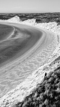 Szary