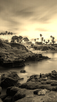Sepia