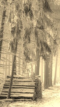 Szary + Sepia
