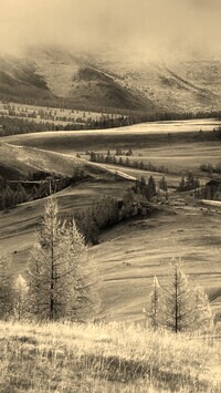 Sepia
