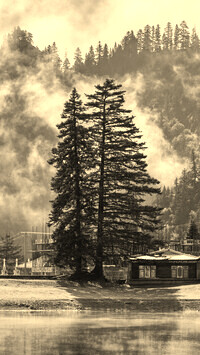 Szary + Sepia