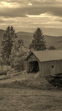 Szary + Sepia